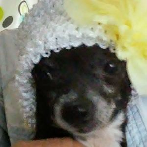 Meet your Posher, Toni